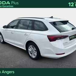 Skoda Octavia Combi Octavia Combi 2.0 TDI 150 ch DSG7 Business Angers