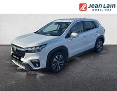 Suzuki S Cross Domancy