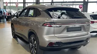 MG EHS  - photo 3