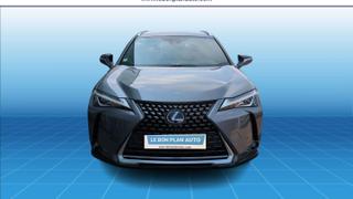 Lexus UX  - F Sport - photo 1