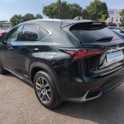 Lexus NX 300h 4WD Executive N&icirc;mes