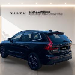 Volvo XC60 XC60 B4 (Diesel) 197 ch Geartronic 8 Business Executive Gu&eacute;rande