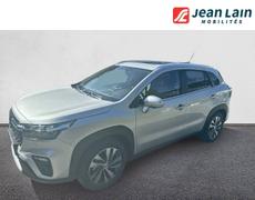 Suzuki S Cross Domancy