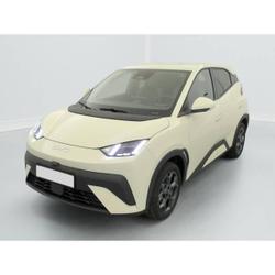 BYD Dolphin SURF 43.2 kWh 156 ch Comfort Cesson-S&eacute;vign&eacute;