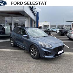 Ford Kuga 2.5 Duratec 190ch FHEV E85 ST-Line Business BVA S&eacute;lestat