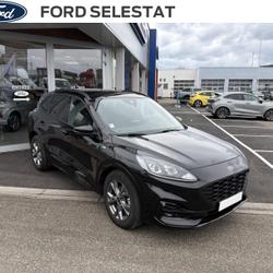 Ford Kuga 2.5 Duratec 190ch FHEV E85 ST-Line Business BVA S&eacute;lestat