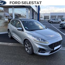 Ford Kuga 2.5 Duratec 190ch FHEV E85 ST-Line Business BVA S&eacute;lestat