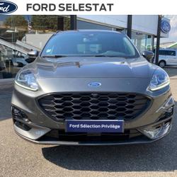 Ford Kuga 2.5 Duratec 190ch FHEV E85 ST-Line Business BVA S&eacute;lestat