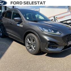 Ford Kuga 2.5 Duratec 190ch FHEV E85 ST-Line Business BVA S&eacute;lestat