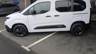 Citroen Berlingo  - photo 1
