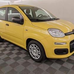 Fiat Panda Pandina 1.0 65ch BSG S&S Hybrid Ic&ocirc;ne Aubi&egrave;re
