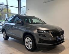 Skoda Karoq Gray