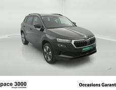Skoda Karoq Gray