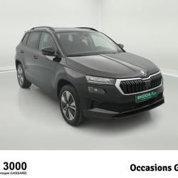 Skoda Karoq Karoq 2.0 TDI 116 ch SCR DSG7 Business Gray