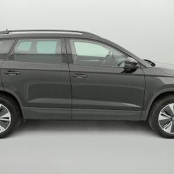 Skoda Karoq Karoq 2.0 TDI 116 ch SCR DSG7 Business Besan&ccedil;on