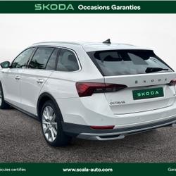 Skoda Octavia Combi Octavia Combi 2.0 TDI 150 ch DSG7 4x4 Scout Perpignan