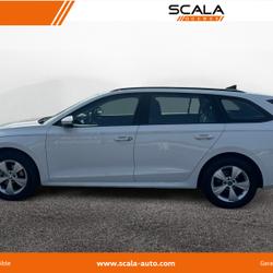 Skoda Octavia Combi Octavia Combi 2.0 TDI 116 ch DSG7 Business Perpignan