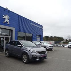 Peugeot 3008 1.6 BLUEHDI 120CH ACTIVE BUSINESS S&S BASSE CONSOMMATION Plo&euml;rmel