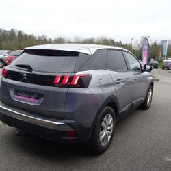 Peugeot 3008 1.6 BLUEHDI 120CH ACTIVE BUSINESS S&S BASSE CONSOMMATION Plo&euml;rmel