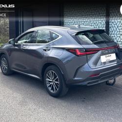 Lexus NX 350h Pack 2WD Saint-Herblain