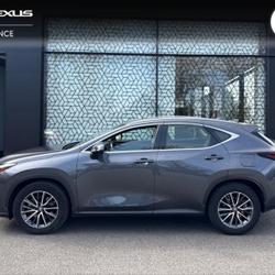 Lexus NX 350h Pack 2WD Saint-Herblain