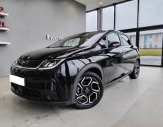 BYD Dolphin Ifs