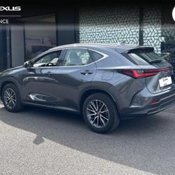 Lexus NX 350h Pack 2WD MY24 Saint-Herblain