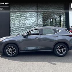 Lexus NX 350h Pack 2WD MY24 Saint-Herblain