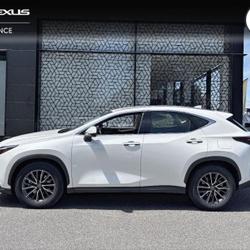 Lexus NX 350h Pack Business 2WD MY24 Saint-Herblain