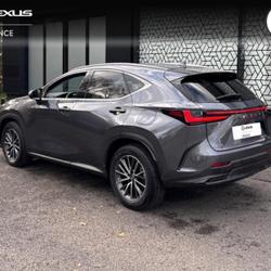 Lexus NX 450h+ Luxe 4WD MY25 Saint-Herblain