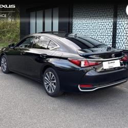 Lexus ES 300h Business MY25 Saint-Herblain