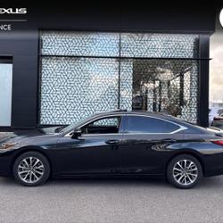 Lexus ES 300h Business MY25 Saint-Herblain