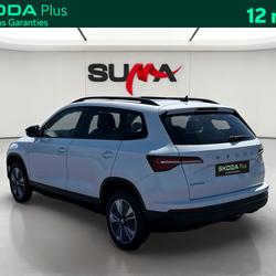 Skoda Karoq Karoq 2.0 TDI 116 ch SCR DSG7 Business Nevers