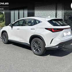 Lexus NX 350h Pack Business 2WD Saint-Herblain