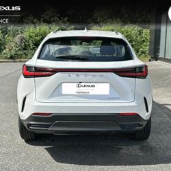 Lexus NX 350h Pack Business 2WD Saint-Herblain