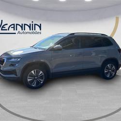 Skoda Karoq Karoq 2.0 TDI 116 ch SCR DSG7 Business Auxerre