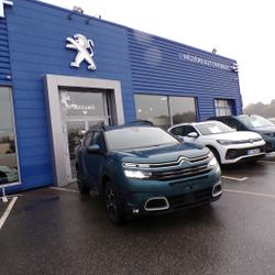 Citroen C5 Aircross BLUEHDI 130CH S&S SHINE EAT8 E6.D Plo&euml;rmel