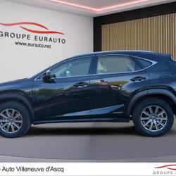 Lexus NX 300h 4WD Pack Business Euro6d-T occasion - Villeneuve-d'Ascq - photo 2/25