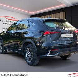 Lexus NX 300h 4WD Pack Business Euro6d-T occasion - Villeneuve-d'Ascq - photo 3/25
