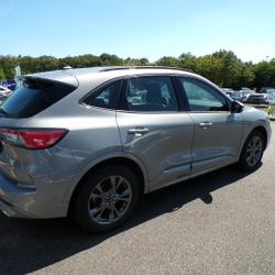 Ford Kuga 2.0 ECOBLUE 120 BVA ST-LINE Plo&euml;rmel