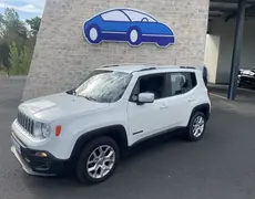 Jeep Renegade Dissay