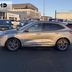 Ford Kuga 2.0 EcoBlue 150ch mHEV ST-Line Business Angers