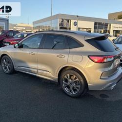 Ford Kuga 2.0 EcoBlue 150ch mHEV ST-Line Business Angers