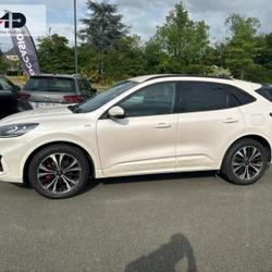 Ford Kuga 2.0 EcoBlue 150ch mHEV ST-Line X Angers