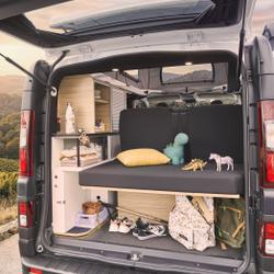 Fourgon Pilote DCI RENAULT TRAFIC Saint-Barth&eacute;lemy-d'Anjou