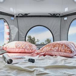 Fourgon Pilote DCI RENAULT TRAFIC Saint-Barth&eacute;lemy-d'Anjou