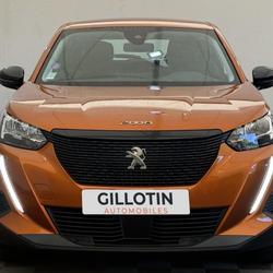 Peugeot 2008 PureTech 100 S&S ACTIVE &Eacute;tr&eacute;chy