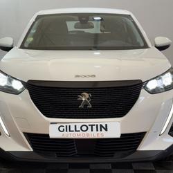 Peugeot 2008 BLUEHDI 130 S&S EAT8 ACTIVE BUSINESS &Eacute;tr&eacute;chy