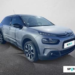 Citroen C4 Cactus PureTech 110 S&S BVM6 Shine Ch&acirc;teaubriant