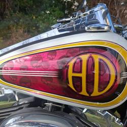 Harley Davidson Road King  La Salvetat-Saint-Gilles